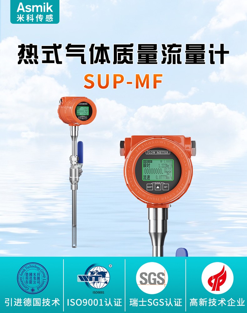 熱式氣體質量流量計